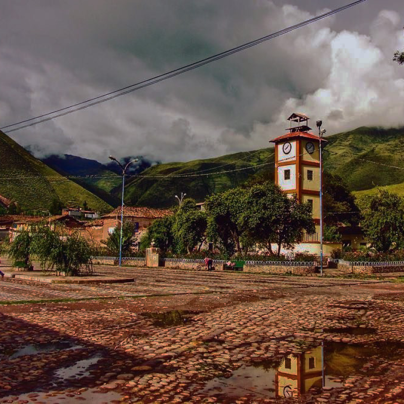 Imagen Ponente